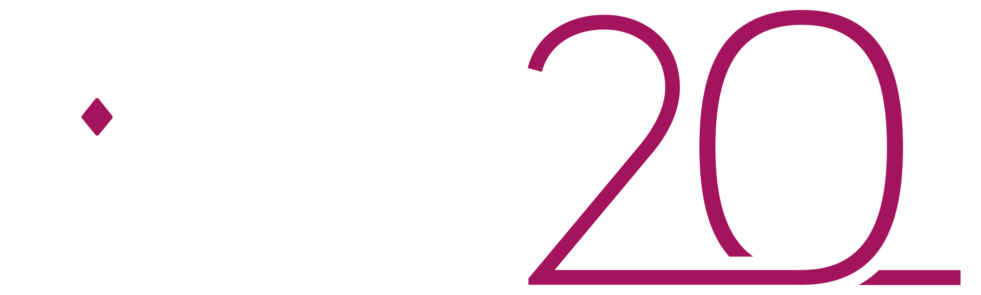 Worklan Bizkaia 20 años Blanco